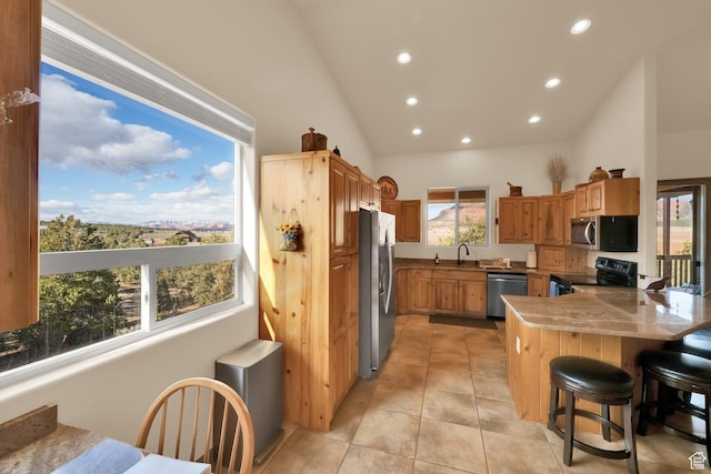 1617 N Mount Zion Dr, Apple Valley, UT 84737 - kitchen with a peninsula, appliances with stainless steel finishes, a sink, vaulted ceiling, and a kitchen breakfast bar