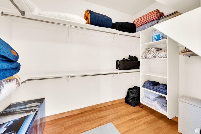 1617 N Mount Zion Dr, Apple Valley, UT 84737 - spacious closet with light wood-type flooring