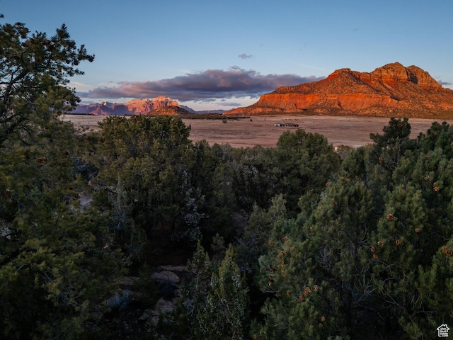 1617 N Mount Zion Dr, Apple Valley, UT 84737 - mountain view