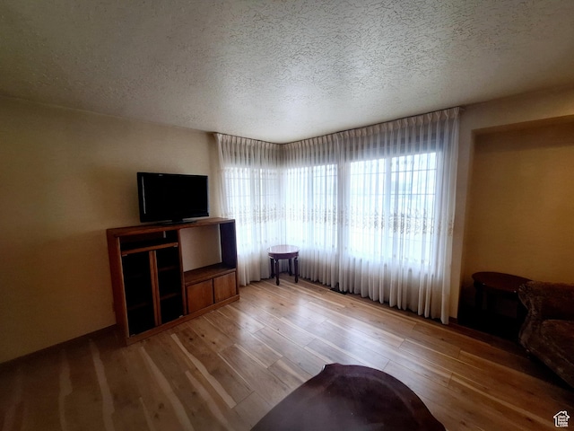 2801 W 1900 N, Plain City, UT 84404 - unfurnished living room featuring light wood finished floors and a textured ceiling