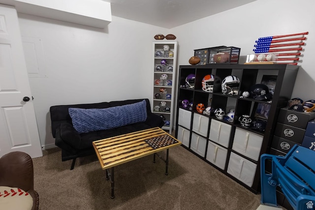 832 S 1430 E, Spanish Fork, UT 84660 - sitting room with carpet floors