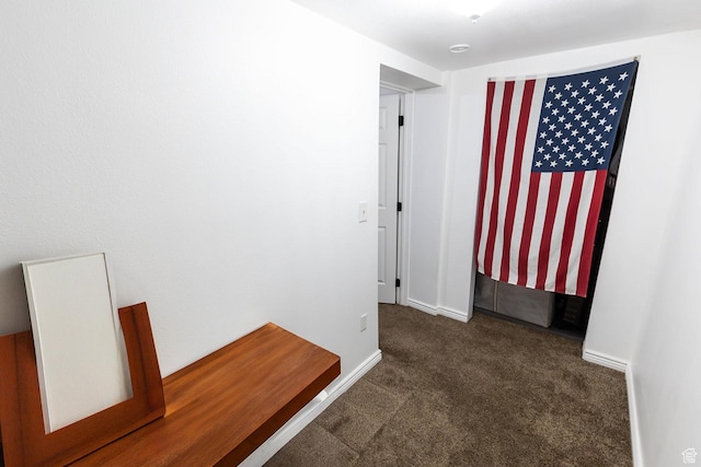 832 S 1430 E, Spanish Fork, UT 84660 - corridor featuring carpet and baseboards