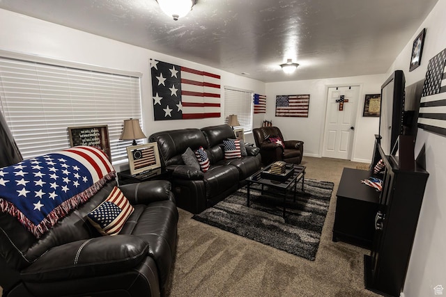 832 S 1430 E, Spanish Fork, UT 84660 - living room with carpet floors and baseboards