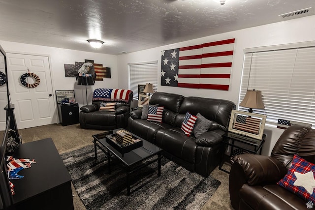 832 S 1430 E, Spanish Fork, UT 84660 - living room with carpet floors