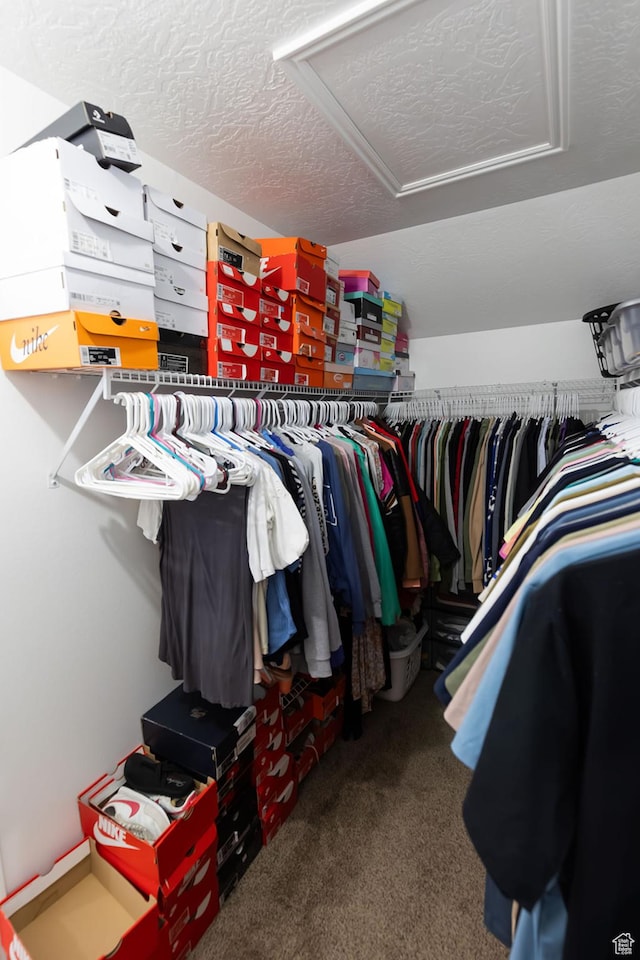 832 S 1430 E, Spanish Fork, UT 84660 - spacious closet featuring attic access and carpet flooring