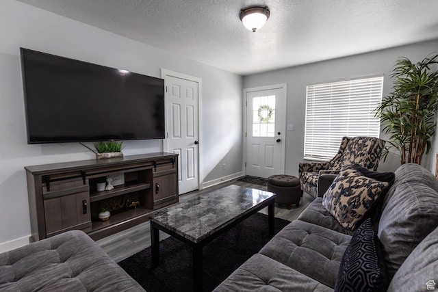 832 S 1430 E, Spanish Fork, UT 84660 - living room featuring wood finished floors, baseboards, and a textured ceiling
