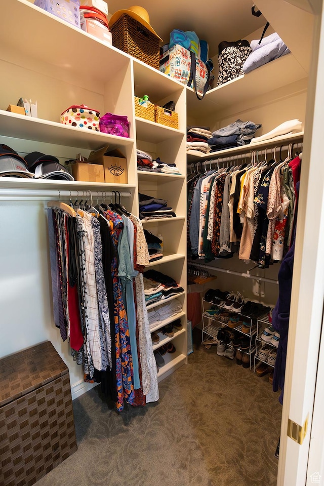 walk in closet with carpet floors