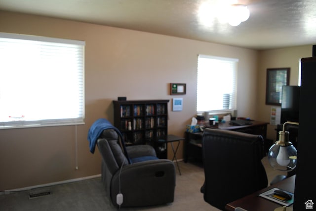71 Gary Way N, Salt Lake, UT 84054 - carpeted home office with baseboards