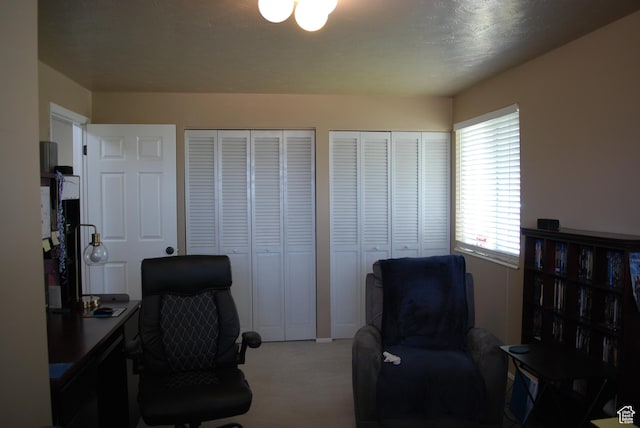 71 Gary Way N, Salt Lake, UT 84054 - office space featuring carpet floors
