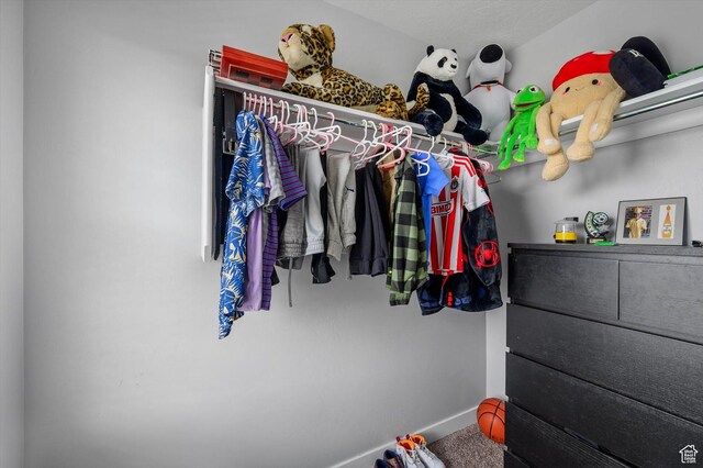 12172 S Window Arch Ln, Herriman, UT 84096 - view of spacious closet