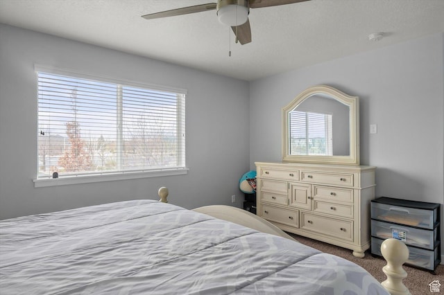 12172 S Window Arch Ln, Herriman, UT 84096 - bedroom featuring carpet flooring, a textured ceiling, and multiple windows
