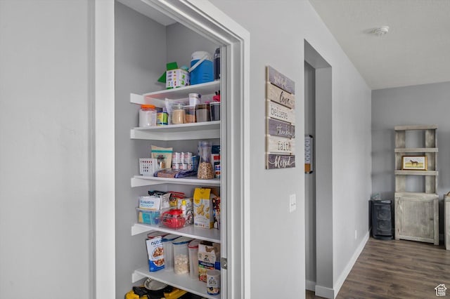 12172 S Window Arch Ln, Herriman, UT 84096 - view of pantry
