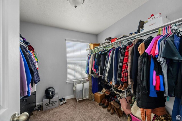 12172 S Window Arch Ln, Herriman, UT 84096 - walk in closet with carpet flooring