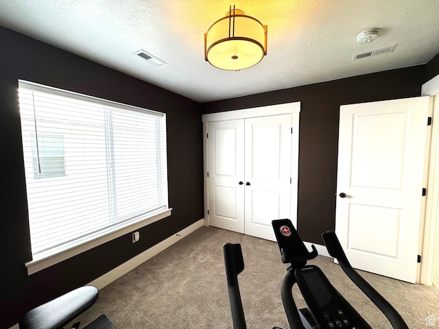 352 W Ropelato Dr, Nibley, UT 84321 - workout room featuring carpet floors, a textured ceiling, and baseboards