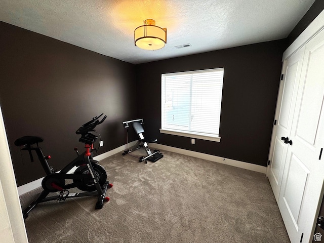 352 W Ropelato Dr, Nibley, UT 84321 - workout room with a textured ceiling, carpet flooring, and baseboards