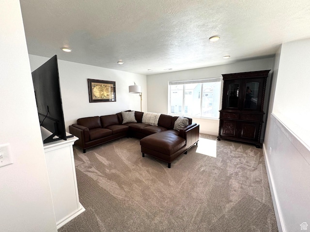 352 W Ropelato Dr, Nibley, UT 84321 - living area with carpet floors, a textured ceiling, recessed lighting, and baseboards