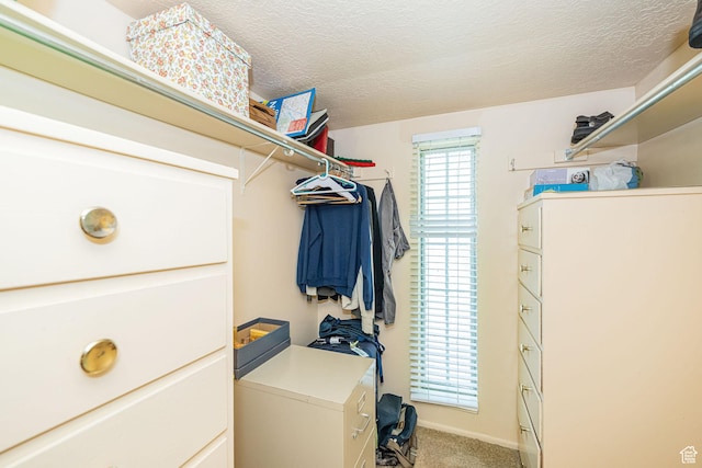 2536 N 575 E, North Ogden, UT 84414 - spacious closet with carpet floors