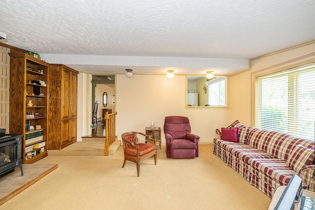2536 N 575 E, North Ogden, UT 84414 - living area with a wood stove, light colored carpet, and a textured ceiling