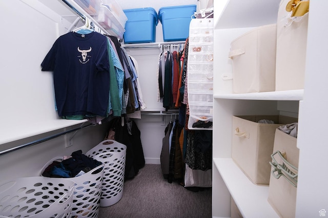 6219 W S Jordan Pkwy Unit 221, South Jordan, UT 84009 - walk in closet with carpet flooring
