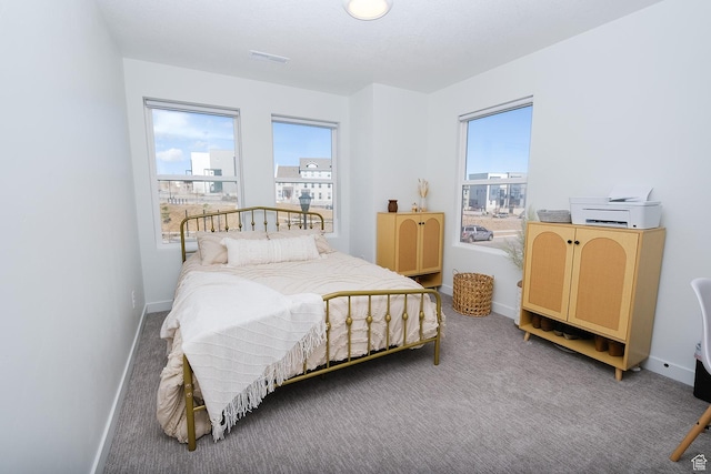 6219 W S Jordan Pkwy Unit 221, South Jordan, UT 84009 - carpeted bedroom with visible vents, multiple windows, and baseboards