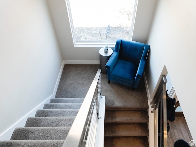 6394 E 850 S, Huntsville, UT 84317 - staircase with baseboards and carpet floors