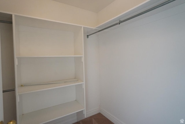 1046 E 1100 S, Spanish Fork, UT 84660 - view of walk in closet
