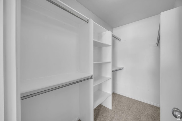 3860 S Mccall St Unit 2D, South Salt Lake, UT 84115 - walk in closet featuring light carpet