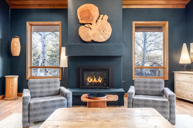 interior space with a fireplace, wood finished floors, and a healthy amount of sunlight