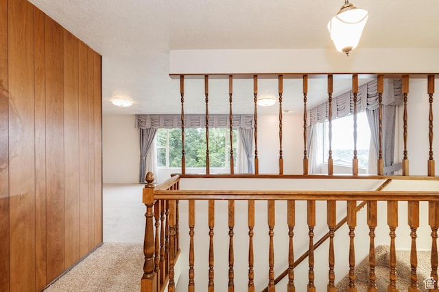stairs with wood walls and carpet