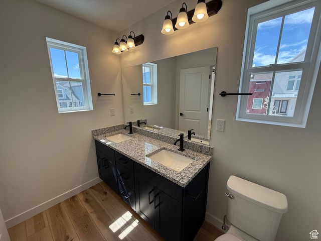 bathroom with plenty of natural light, a sink, and wood finished floors
