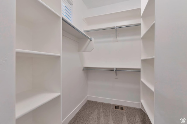 3240 W Oxford Loop Unit 219, Mountain Green, UT 84050 - spacious closet featuring carpet floors and visible vents