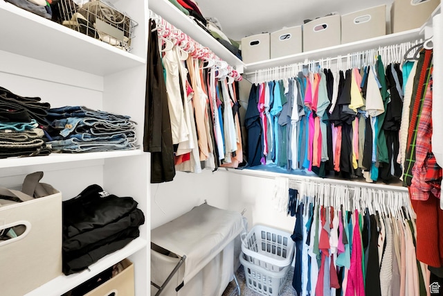 view of walk in closet