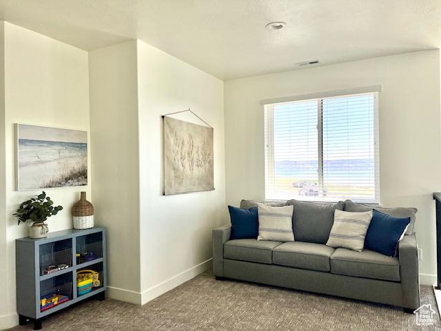 650 Blue Sage Dr, Fish Haven, ID 83287 - living room featuring baseboards, visible vents, and carpet floors