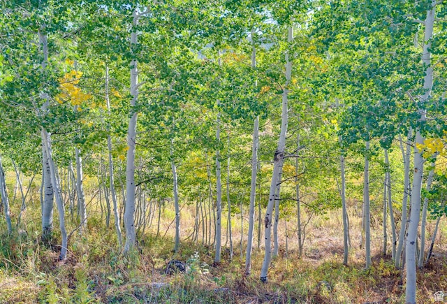 4547 Fawn Way Unit 2050, Heber City, UT 84032 - view of local wilderness