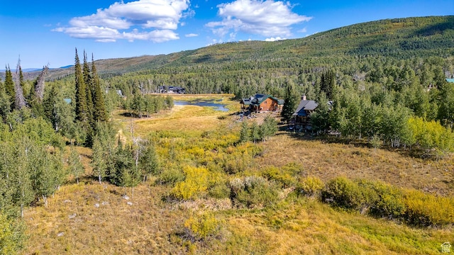 4547 Fawn Way Unit 2050, Heber City, UT 84032 - mountain view with a wooded view