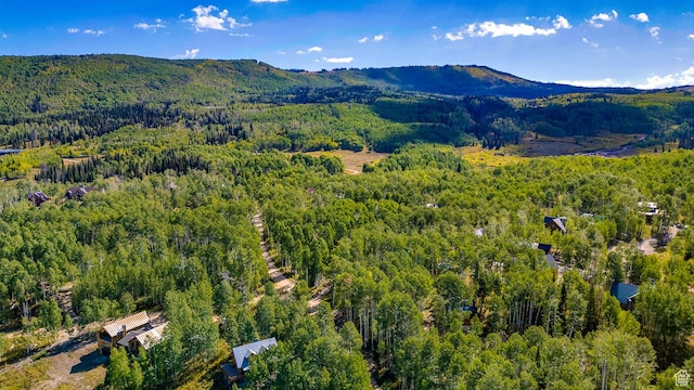 4547 Fawn Way Unit 2050, Heber City, UT 84032 - aerial view with a mountain view and a forest view