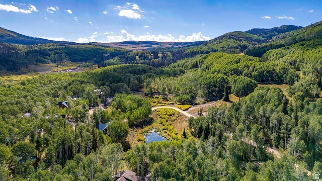 4547 Fawn Way Unit 2050, Heber City, UT 84032 - drone / aerial view with a mountain view and a forest view