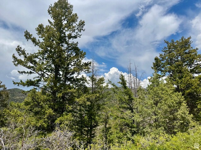 9395 Ridge Pine Rd Unit 807, Heber City, UT 84032