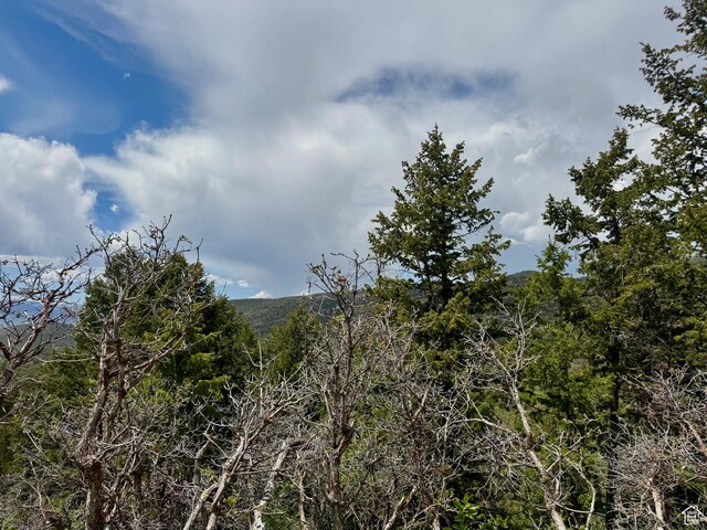 9395 Ridge Pine Rd Unit 807, Heber City, UT 84032