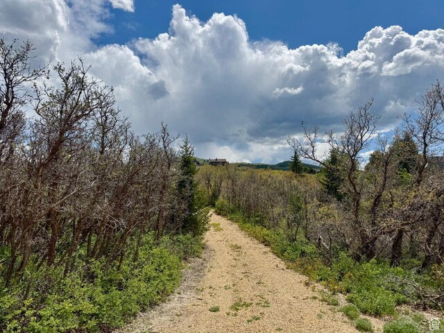 9395 Ridge Pine Rd Unit 807, Heber City, UT 84032