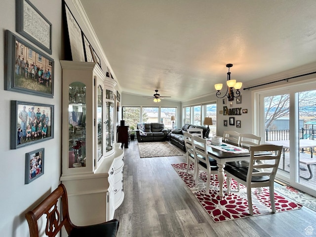 dining room featuring ceiling fan with notable chandelier, ornamental molding, and dark wood-style floors