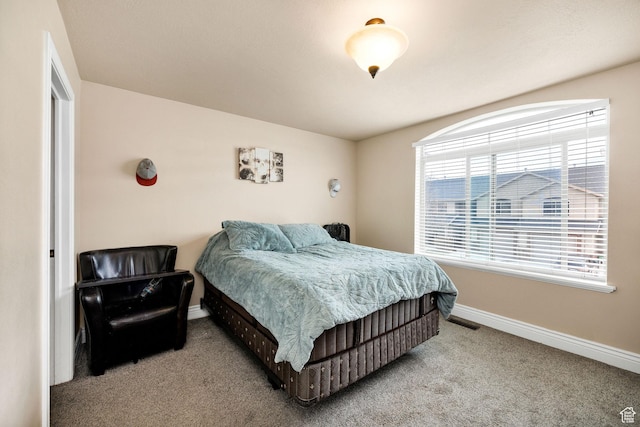 687 N 130 E, Smithfield, UT 84335 - bedroom with baseboards, visible vents, and carpet floors