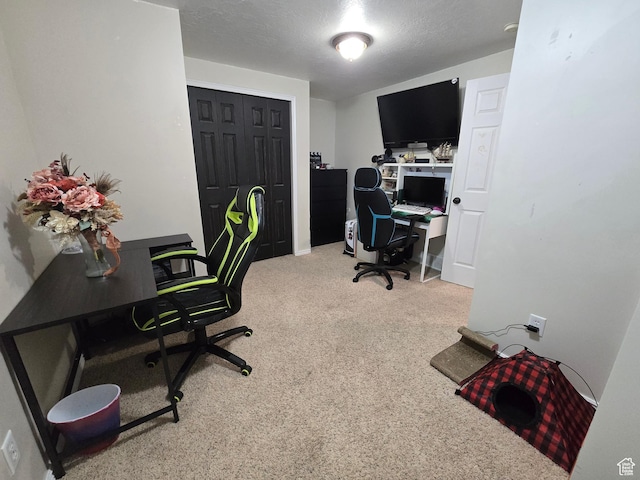 8894 S Sun Leaf Dr, West Jordan, UT 84088 - office area with carpet flooring