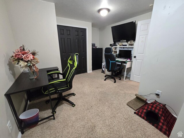 8894 S Sun Leaf Dr, West Jordan, UT 84088 - office with carpet flooring