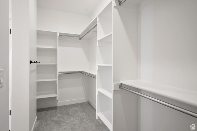 330 W Rosie Loop Unit 45E, Cedar City, UT 84720 - view of walk in closet