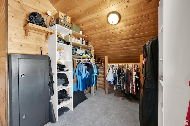 183 N Silver Sage Rd, Vernon, UT 84080 - spacious closet featuring carpet flooring and lofted ceiling