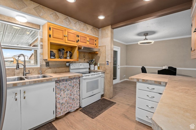 319 N 800 W, Orem, UT 84057 - kitchen with crown molding, a sink, white electric stove, under cabinet range hood, and light wood-style floors