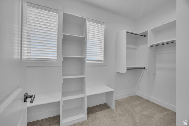 6579 W Bonnie Jean Ln Unit 12, Herriman, UT 84096 - walk in closet featuring carpet floors