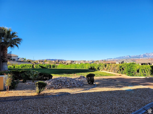 view of yard with a residential view