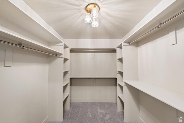 1585 S 2300 E, Salt Lake City, UT 84108 - spacious closet with carpet flooring